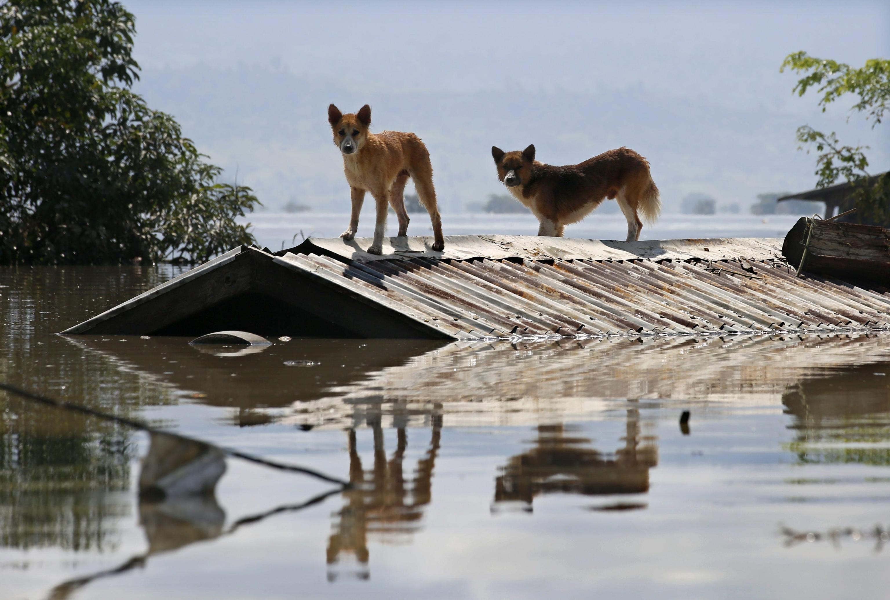 Alluvioni in Myanmar: 46 morti e oltre 200 mila sfollati Alluvioni in Myanmar: 46 morti e oltre 200 mila sfollati