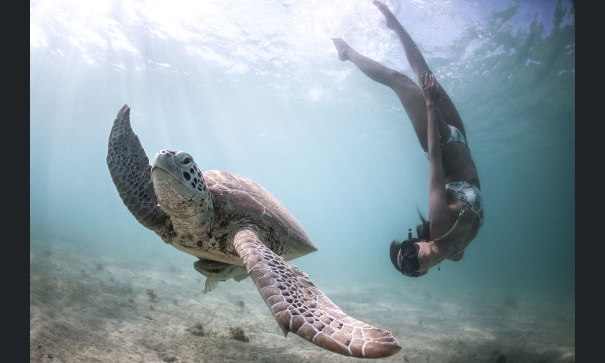 Free diving tra le creature marine dell’Oceano Indiano Free diving tra le creature marine dell’Oceano Indiano