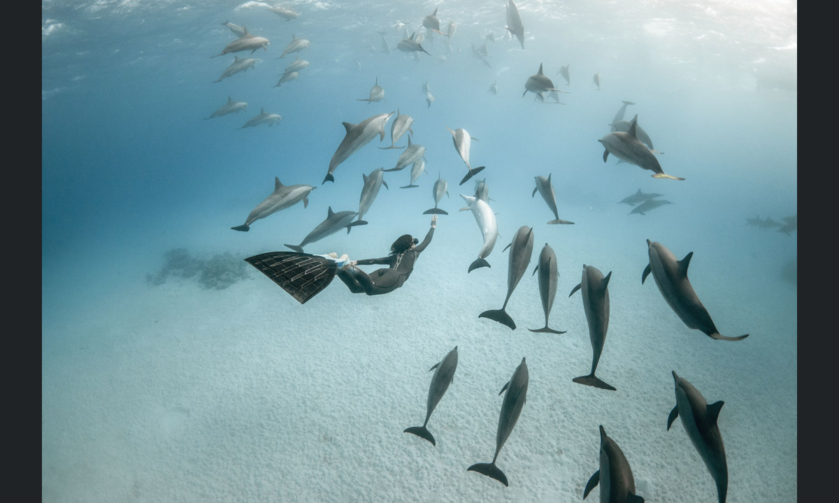 Free diving tra le creature marine dell’Oceano Indiano Free diving tra le creature marine dell’Oceano Indiano