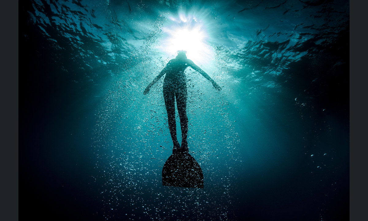 Free diving tra le creature marine dell’Oceano Indiano Free diving tra le creature marine dell’Oceano Indiano