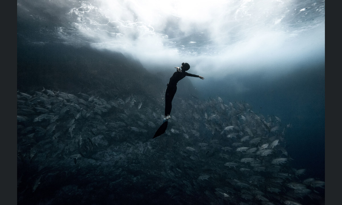 Free diving tra le creature marine dell’Oceano Indiano Free diving tra le creature marine dell’Oceano Indiano