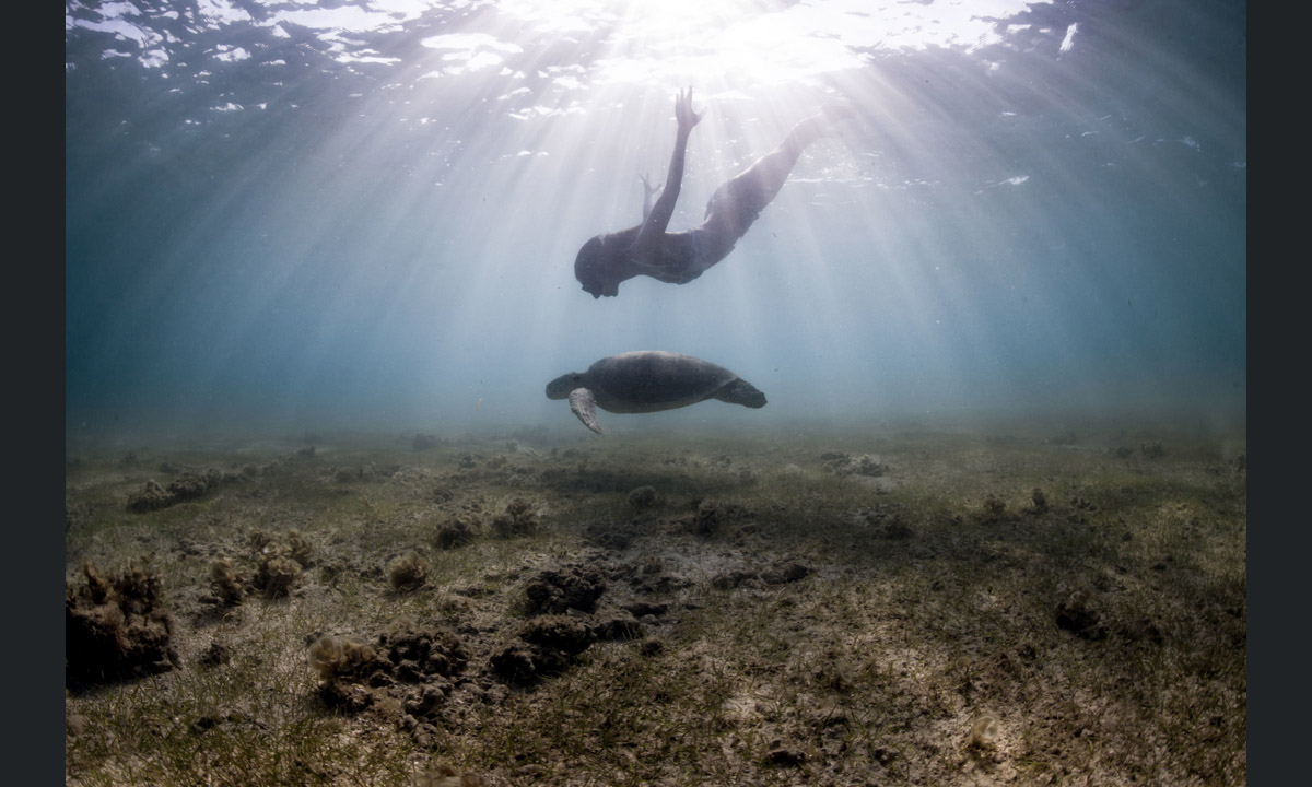 Free diving tra le creature marine dell’Oceano Indiano Free diving tra le creature marine dell’Oceano Indiano