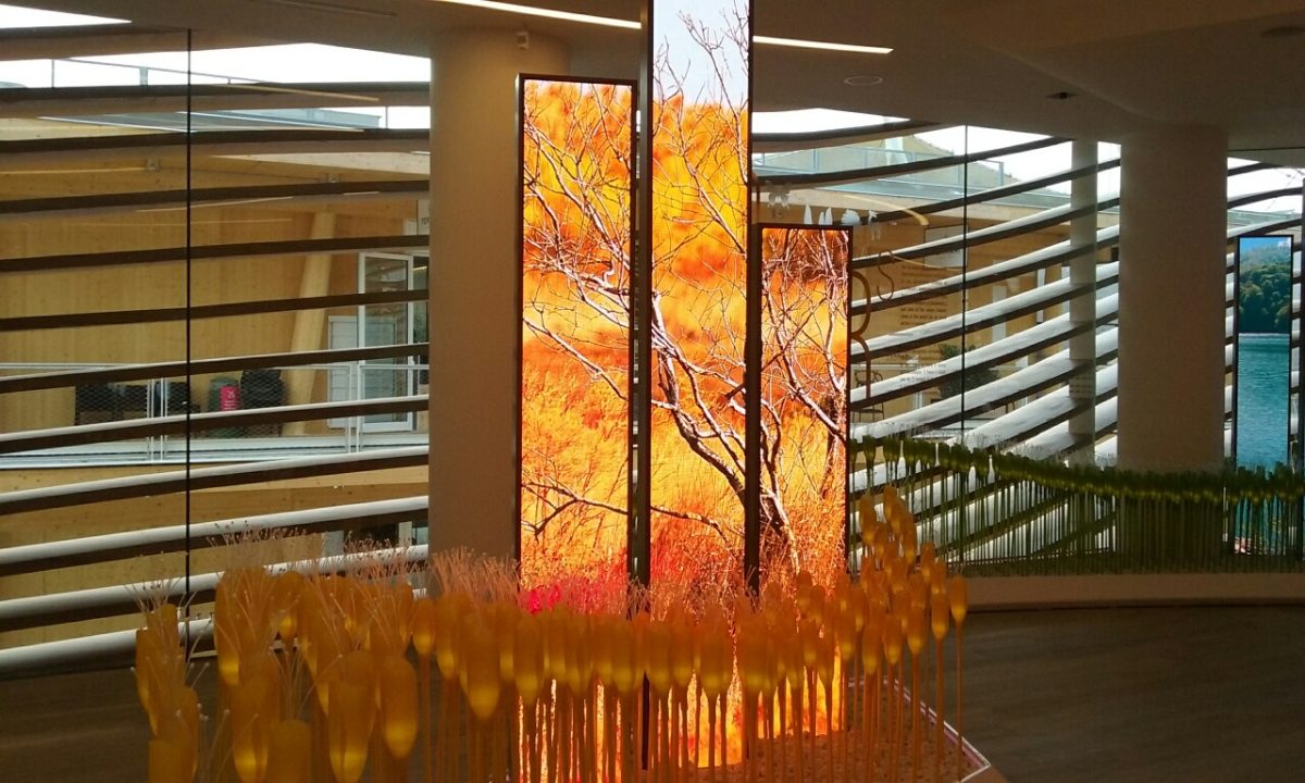 Galleria foto 'Il padiglione più bello dell’Expo è quello della Gran Bretagna' - foto 47