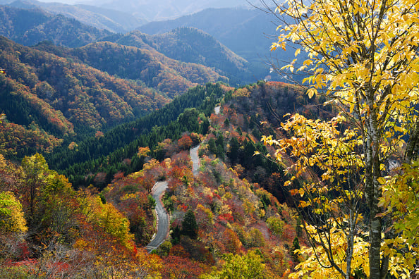 Autunno, le strade scenografiche più suggestive al mondo