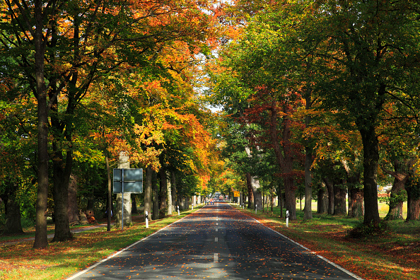 Autunno, le strade scenografiche più suggestive al mondo