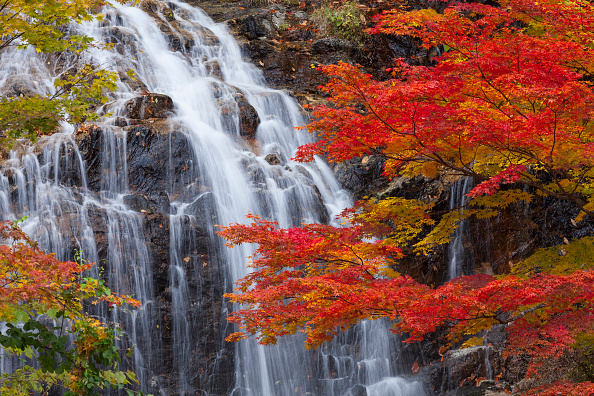 Autunno, le strade scenografiche più suggestive al mondo