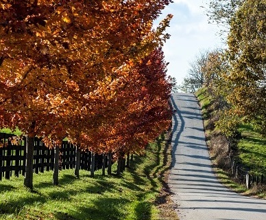 Autunno, le strade scenografiche più suggestive al mondo