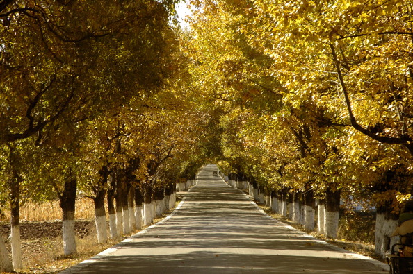Autunno, le strade scenografiche più suggestive al mondo