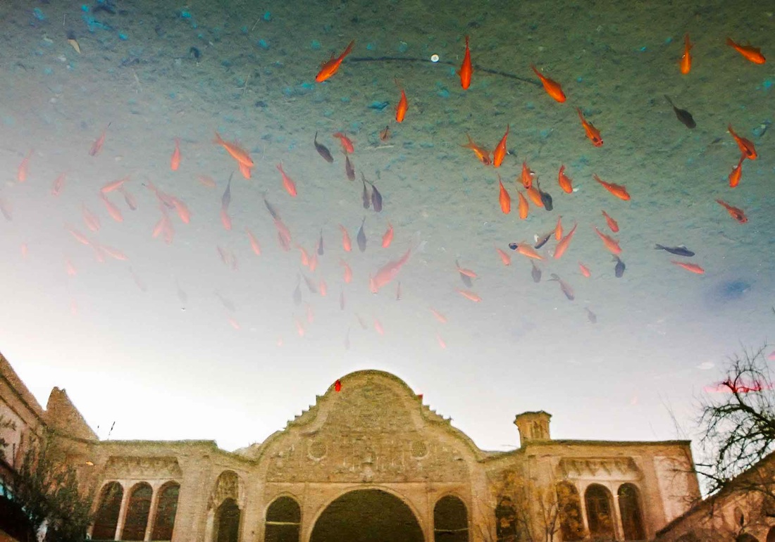 Marco Ferrari: Reflections