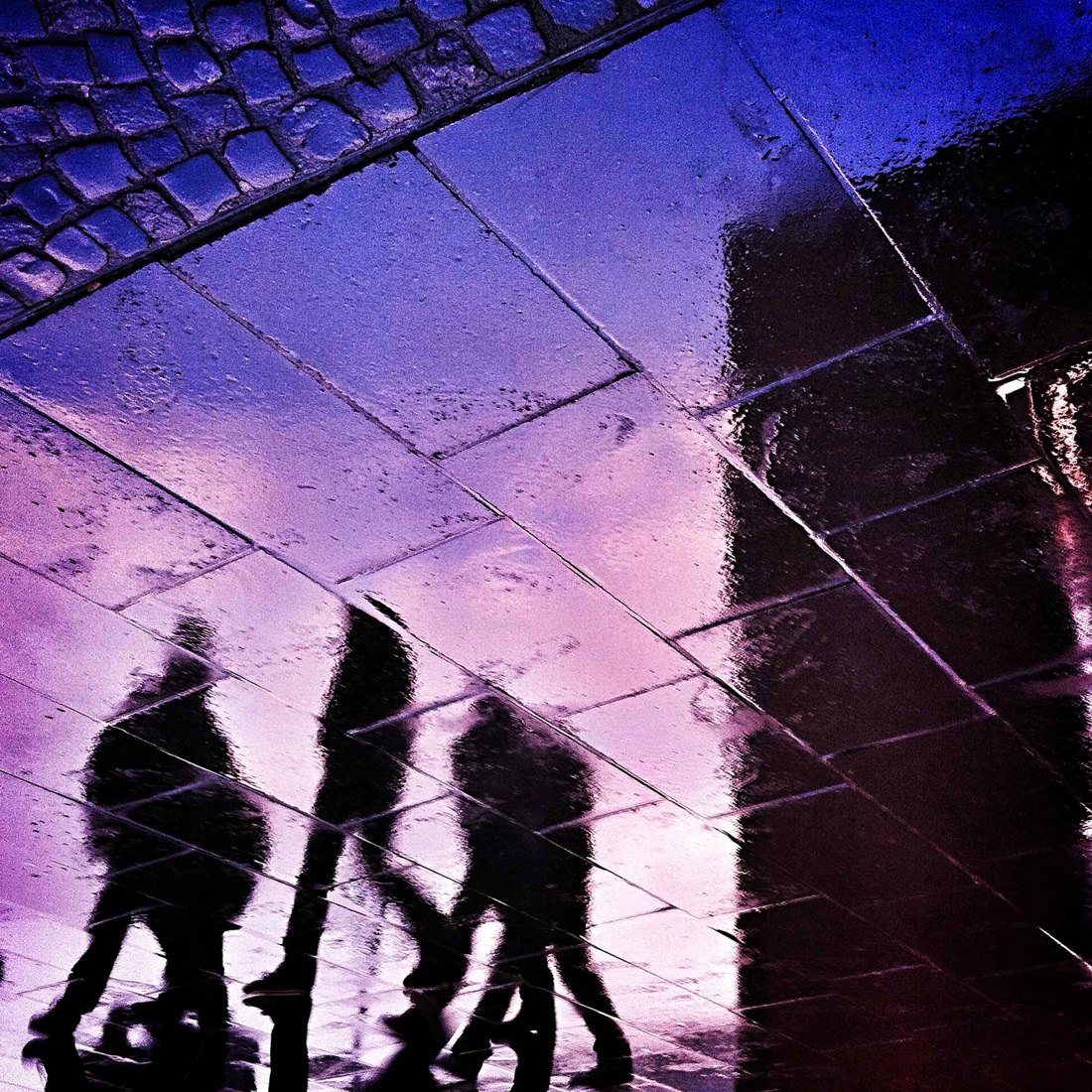 Marco Ferrari: Reflections