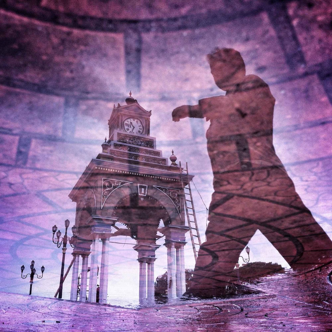 Marco Ferrari: Reflections