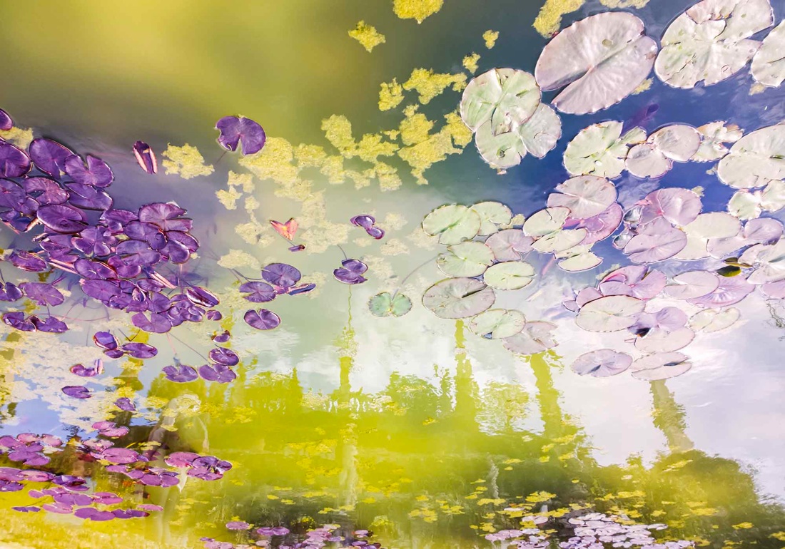 Marco Ferrari: Reflections