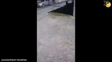 Usa: poliziotto uccide uomo di colore su sedia a rotelle