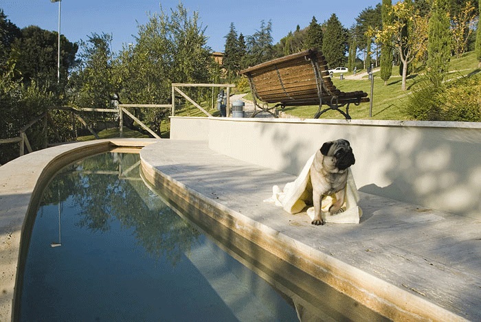 Voglia di relax: le migliori Spa al mondo (c’è anche l’Italia) Voglia di relax: le migliori Spa al mondo (c’è anche l’Italia)