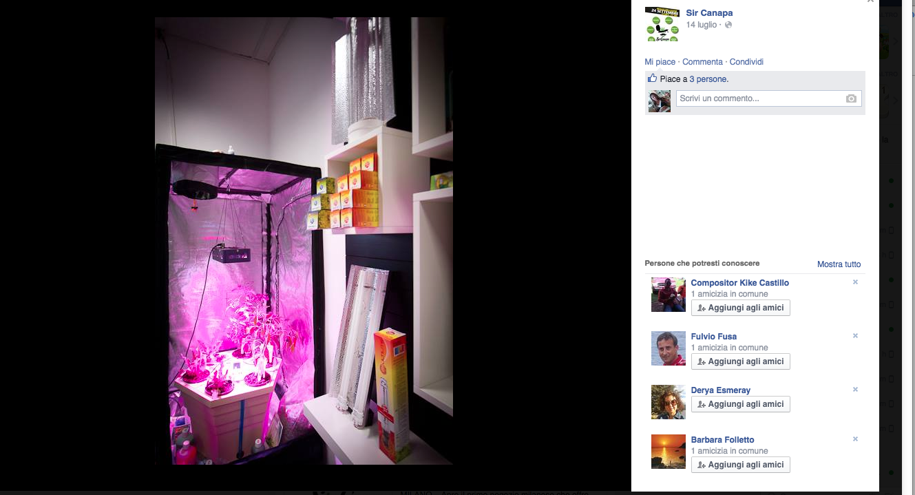 Sir Canapa, a Milano il primo negozio che celebra la cannabis Sir Canapa, a Milano il primo negozio che celebra la cannabis