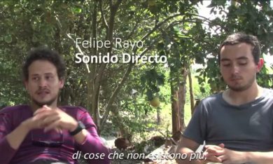 Un mondo fragile, estratto del film e interviste