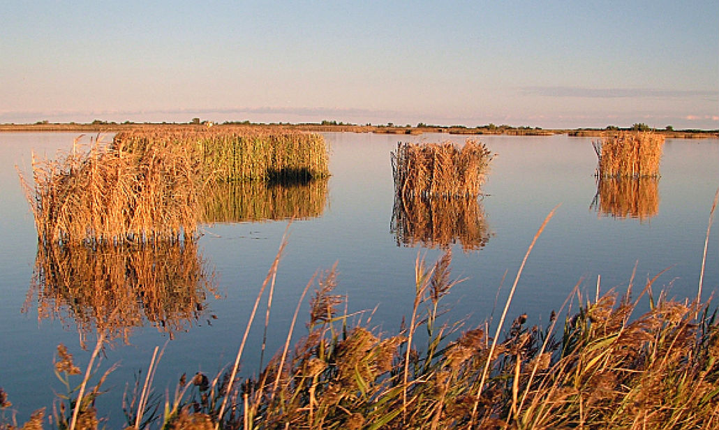 Veneto, a Expo le antiche filiere dell’eccellenza verde