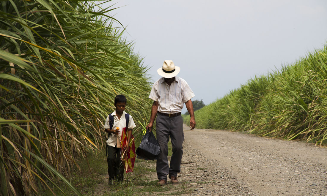 Magic Mike XXL e gli altri film in uscita al cinema, 24 settembre 2015 Magic Mike XXL e gli altri film in uscita al cinema, 24 settembre 2015