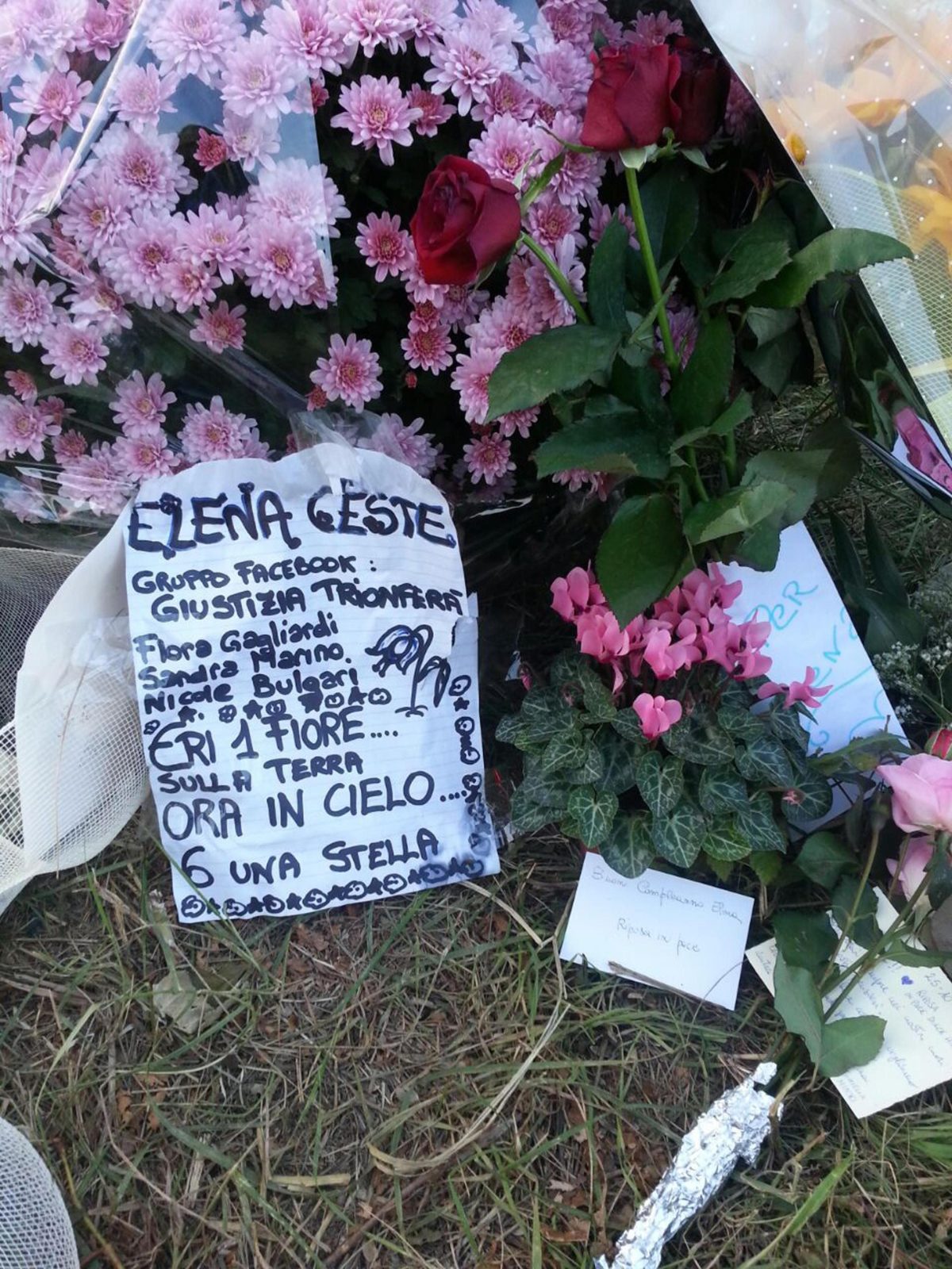 Galleria foto 'Omicidio Ceste: così il pm ha chiesto e otterrà 30 anni per Michele' - foto 8