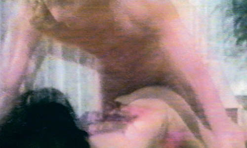 6 libri sui divi del porno 6 libri sui divi del porno