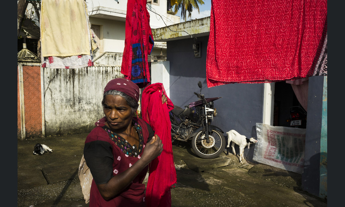 I colori dell’India nelle foto di Alex Webb I colori dell’India nelle foto di Alex Webb