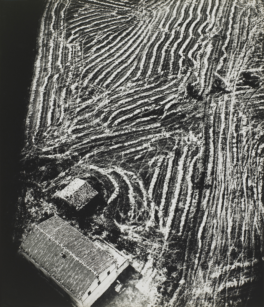 Il Diaframma di Lanfranco Colombo, una storia italiana Il Diaframma di Lanfranco Colombo, una storia italiana