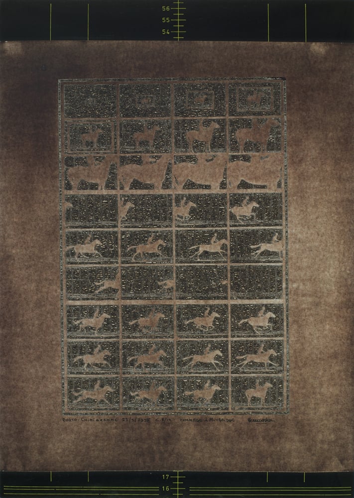 Il Diaframma di Lanfranco Colombo, una storia italiana Il Diaframma di Lanfranco Colombo, una storia italiana