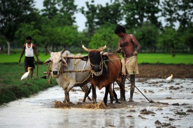 The Italian Amaro Ramazzotti stands out as a sustainable and responsible brand