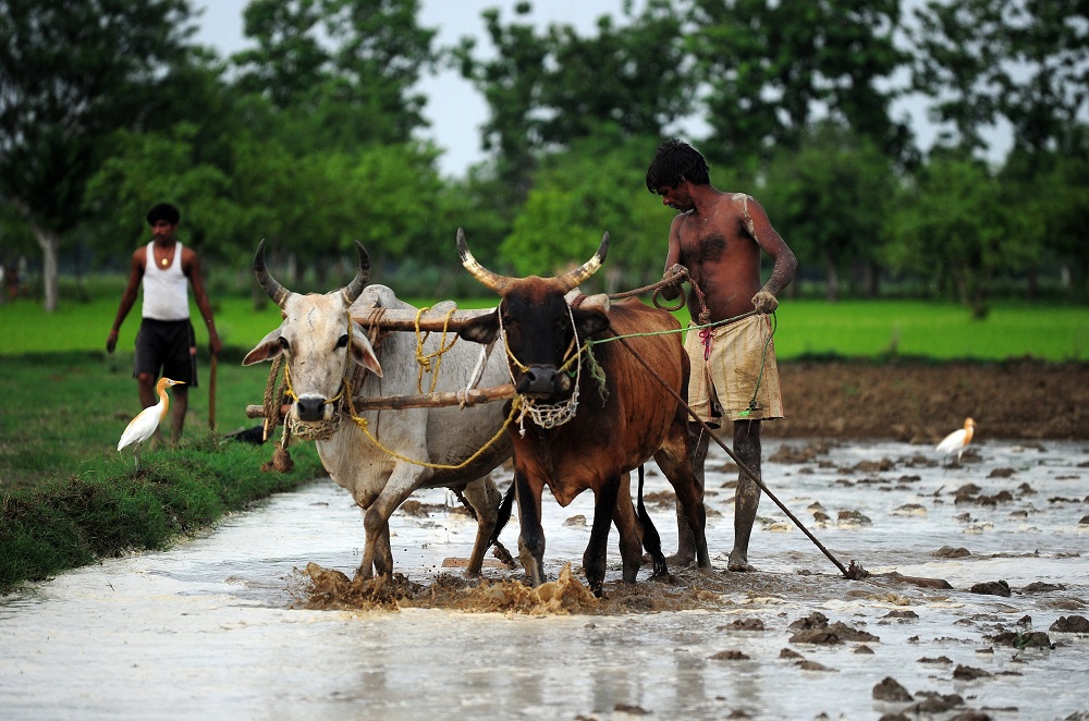 The Italian Amaro Ramazzotti stands out as a sustainable and responsible brand