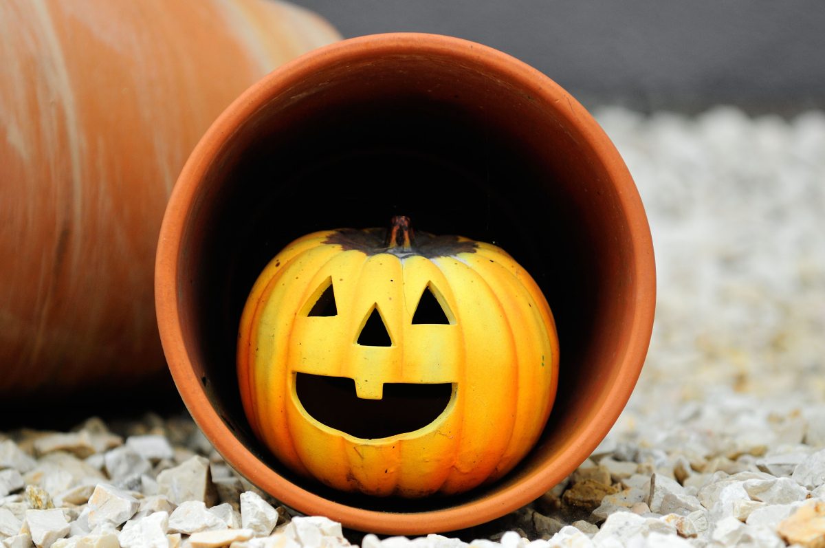 Galleria foto 'Oktoberfest, non solo Monaco: ecco le altre feste nel mondo' - foto 13