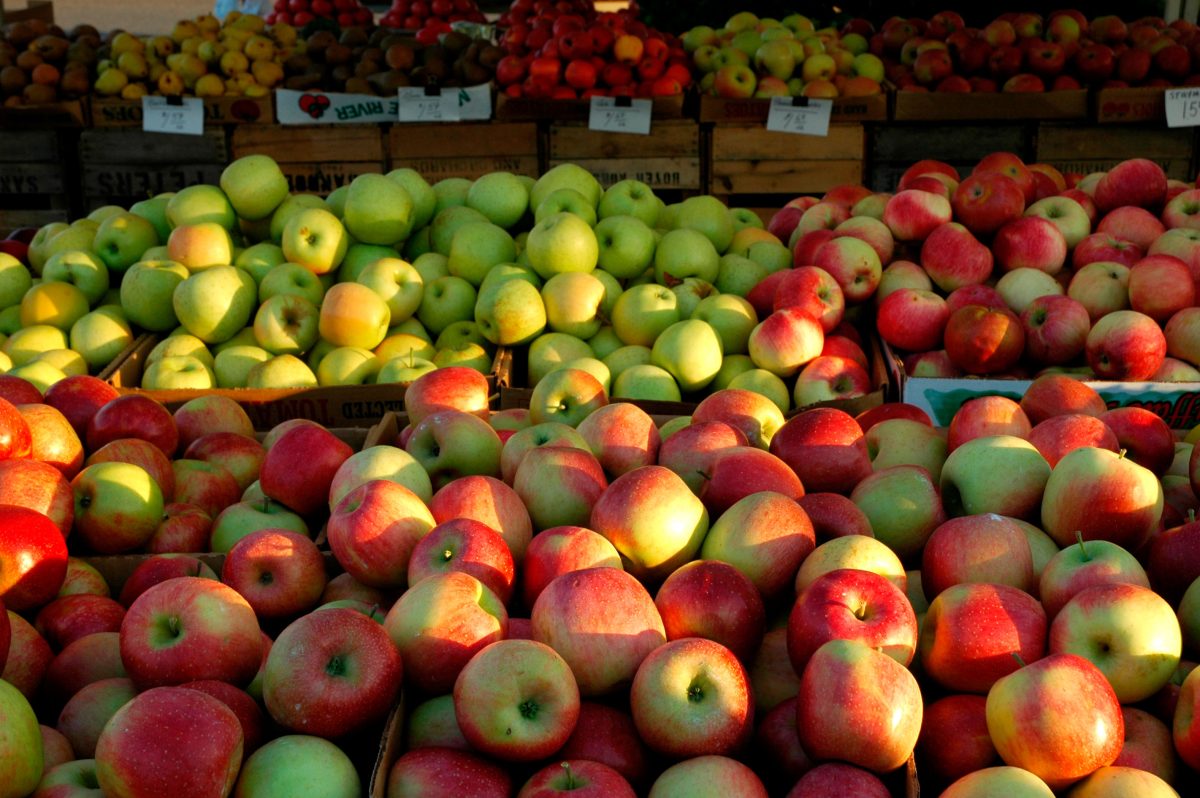 Galleria foto 'Oktoberfest, non solo Monaco: ecco le altre feste nel mondo' - foto 15