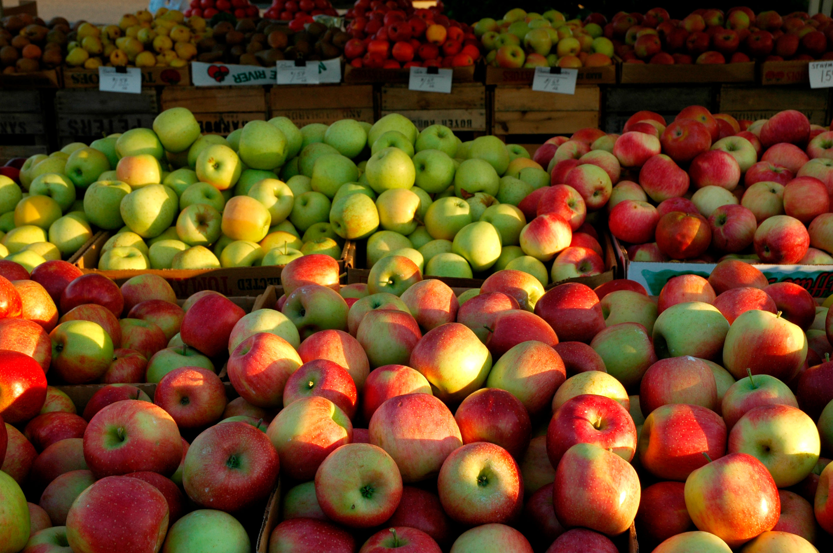 Oktoberfest, non solo Monaco: ecco le altre feste nel mondo Oktoberfest, non solo Monaco: ecco le altre feste nel mondo