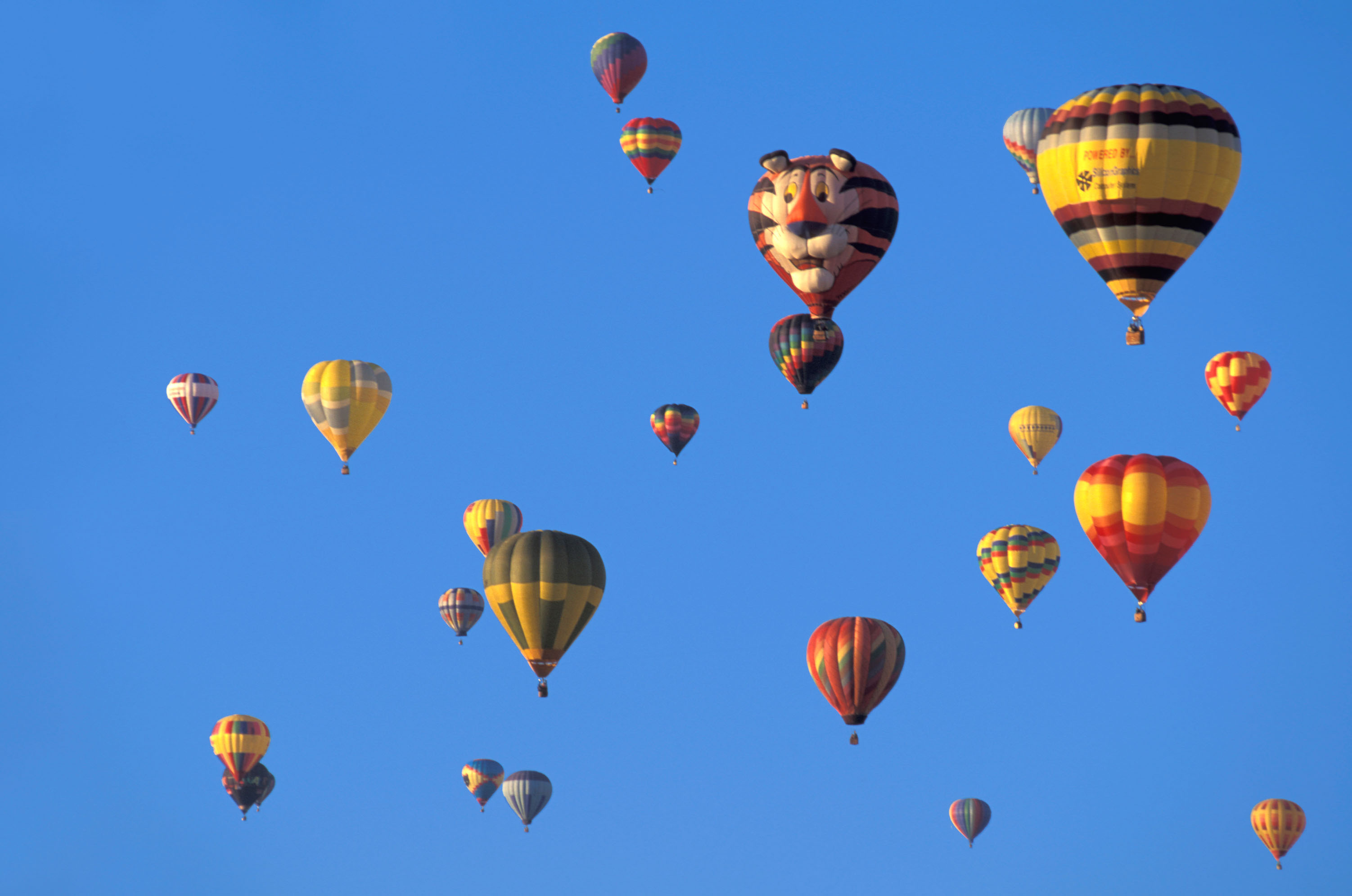 Oktoberfest, non solo Monaco: ecco le altre feste nel mondo Oktoberfest, non solo Monaco: ecco le altre feste nel mondo