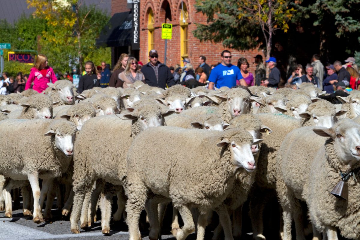 Galleria foto 'Oktoberfest, non solo Monaco: ecco le altre feste nel mondo' - foto 10