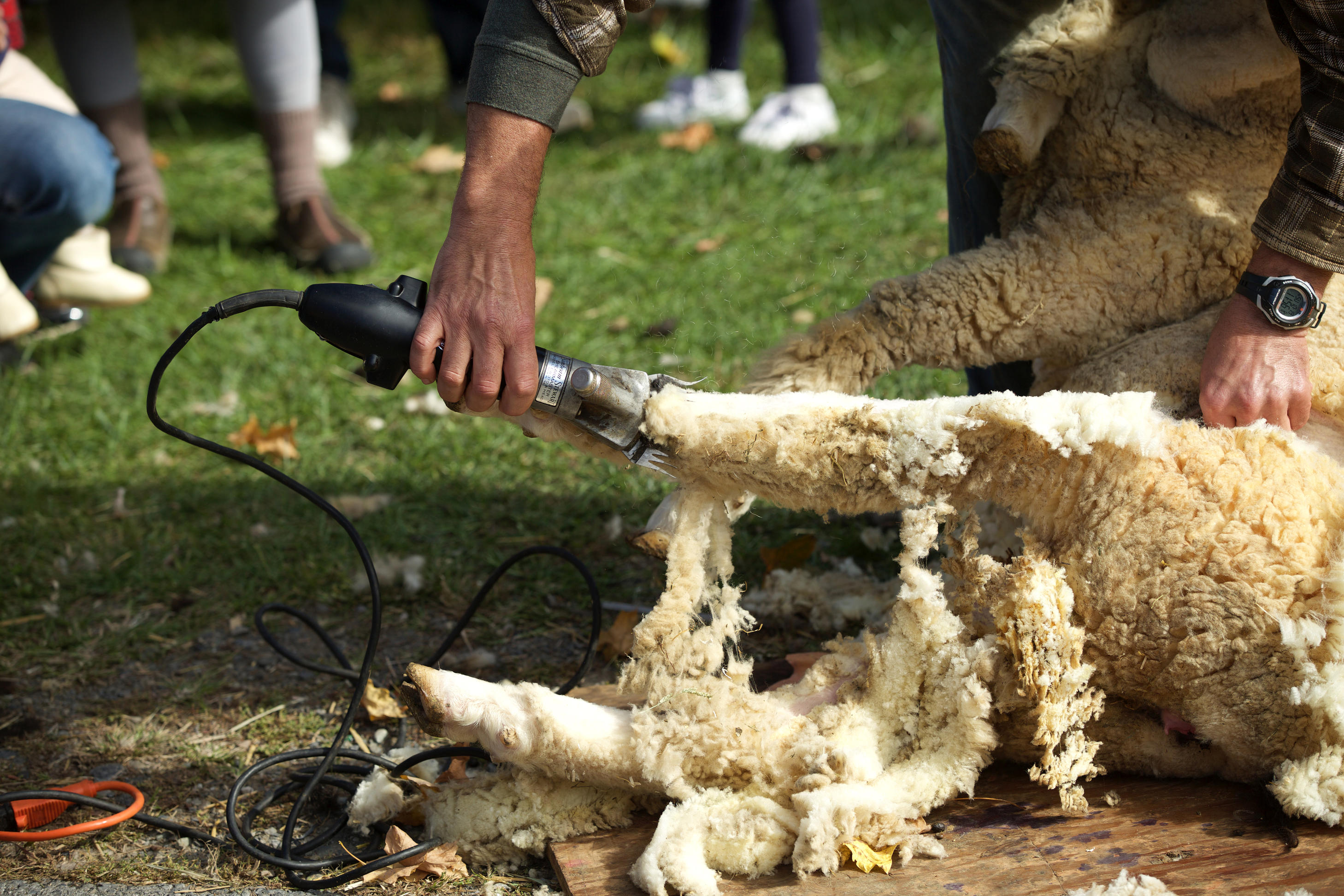 Oktoberfest, non solo Monaco: ecco le altre feste nel mondo Oktoberfest, non solo Monaco: ecco le altre feste nel mondo