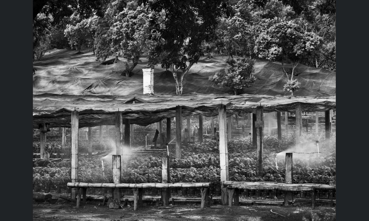 Photofestival Milano: 10 mostre da non perdere Photofestival Milano: 10 mostre da non perdere