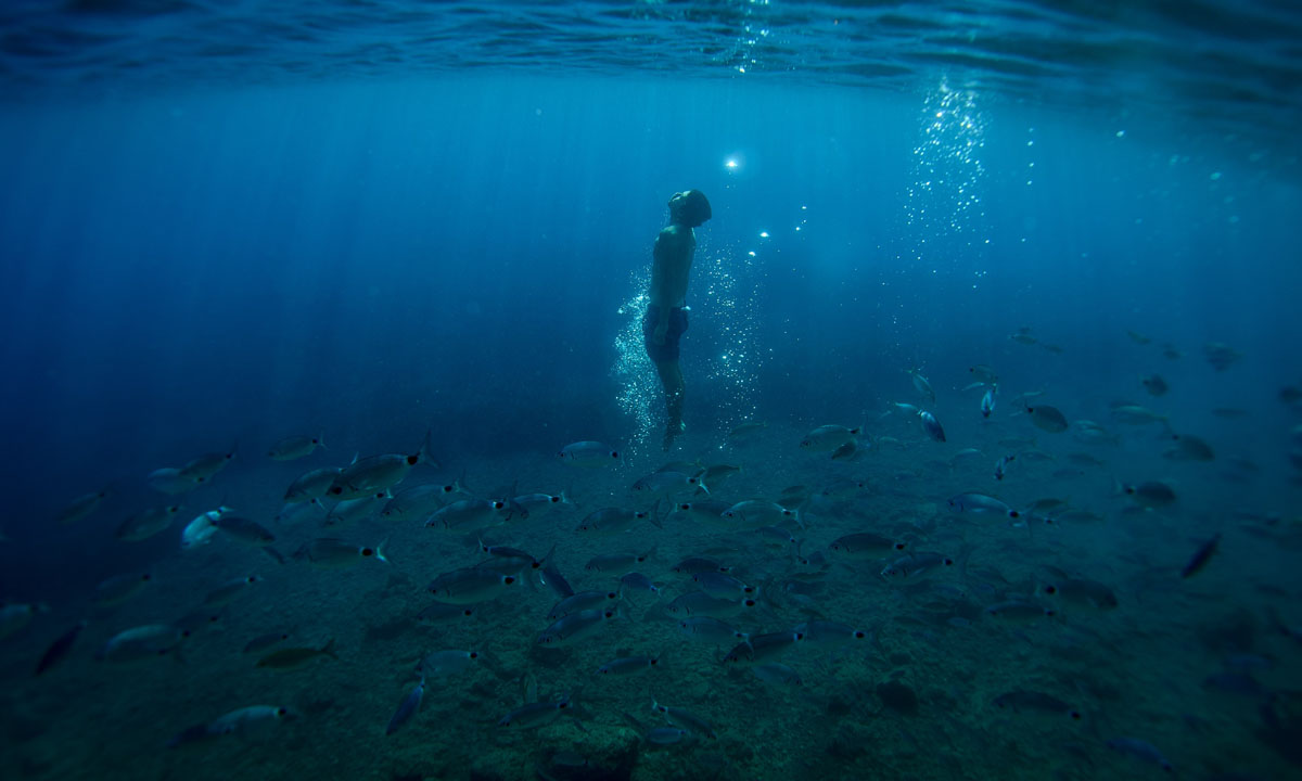 Uomini e pesci nel mare blu di Portofino Uomini e pesci nel mare blu di Portofino