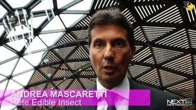 Expo 2015: degustazione di insetti