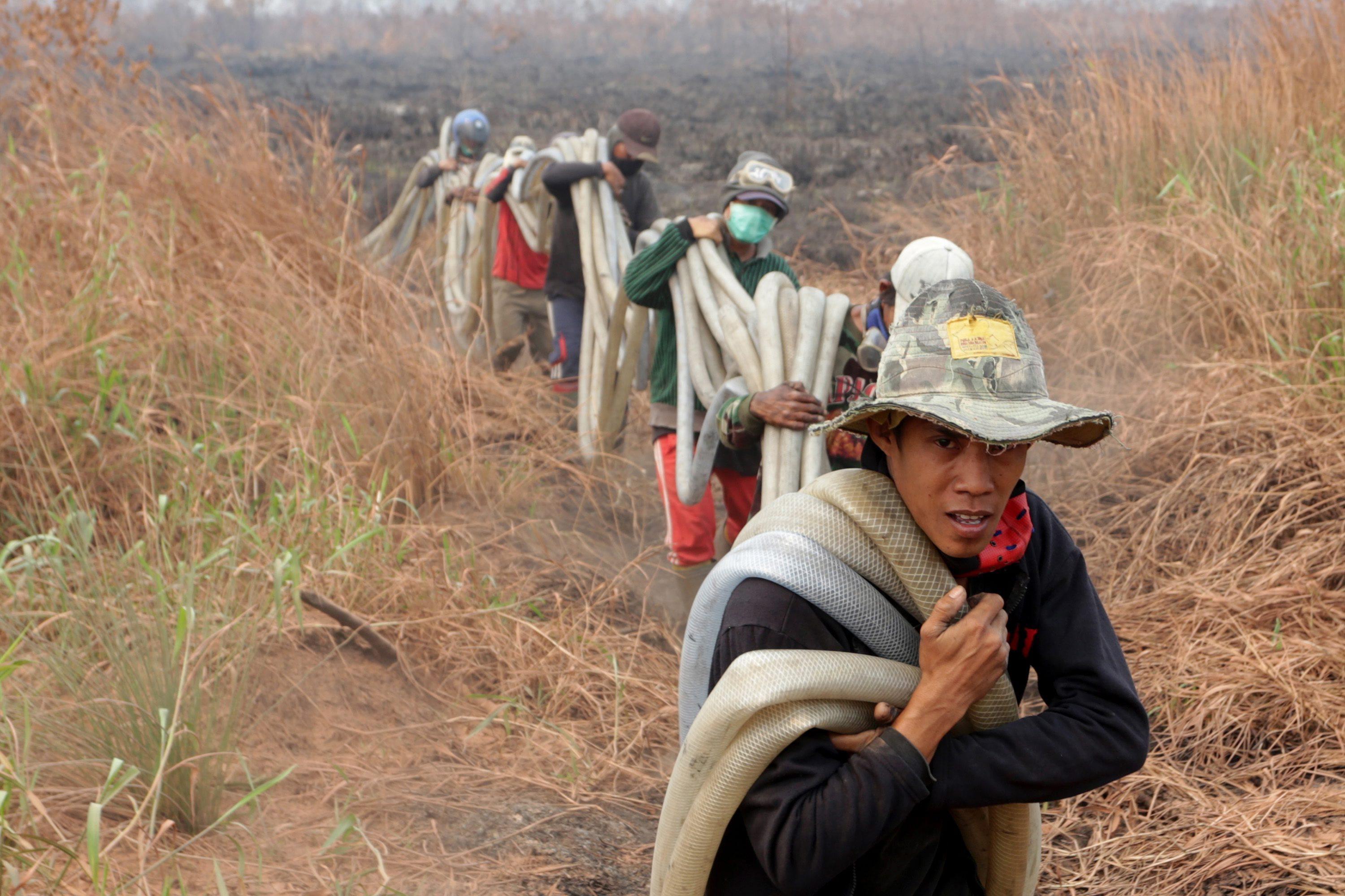 Roghi nelle foreste: emergenza ambientale in Indonesia