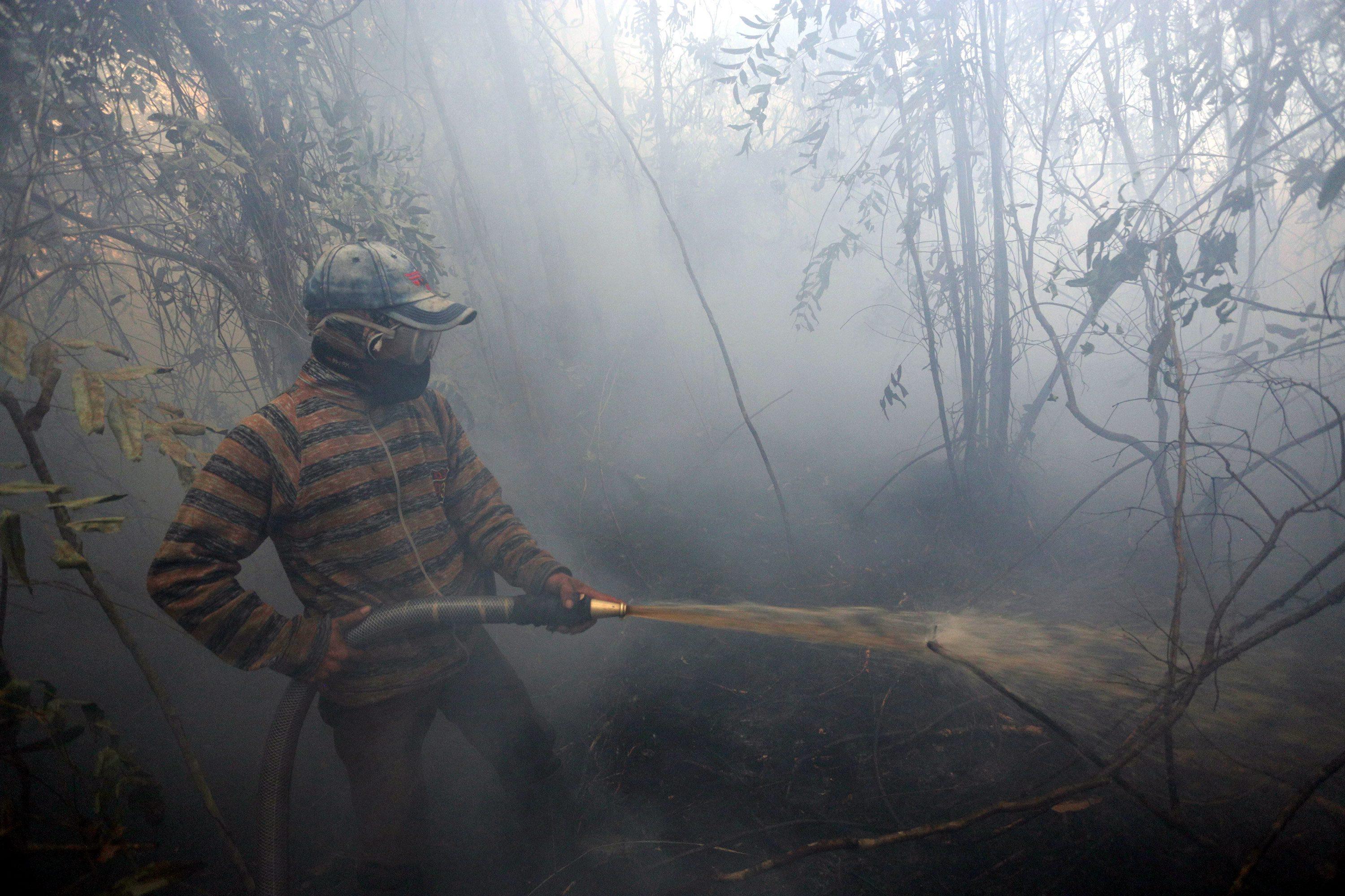 Roghi nelle foreste: emergenza ambientale in Indonesia