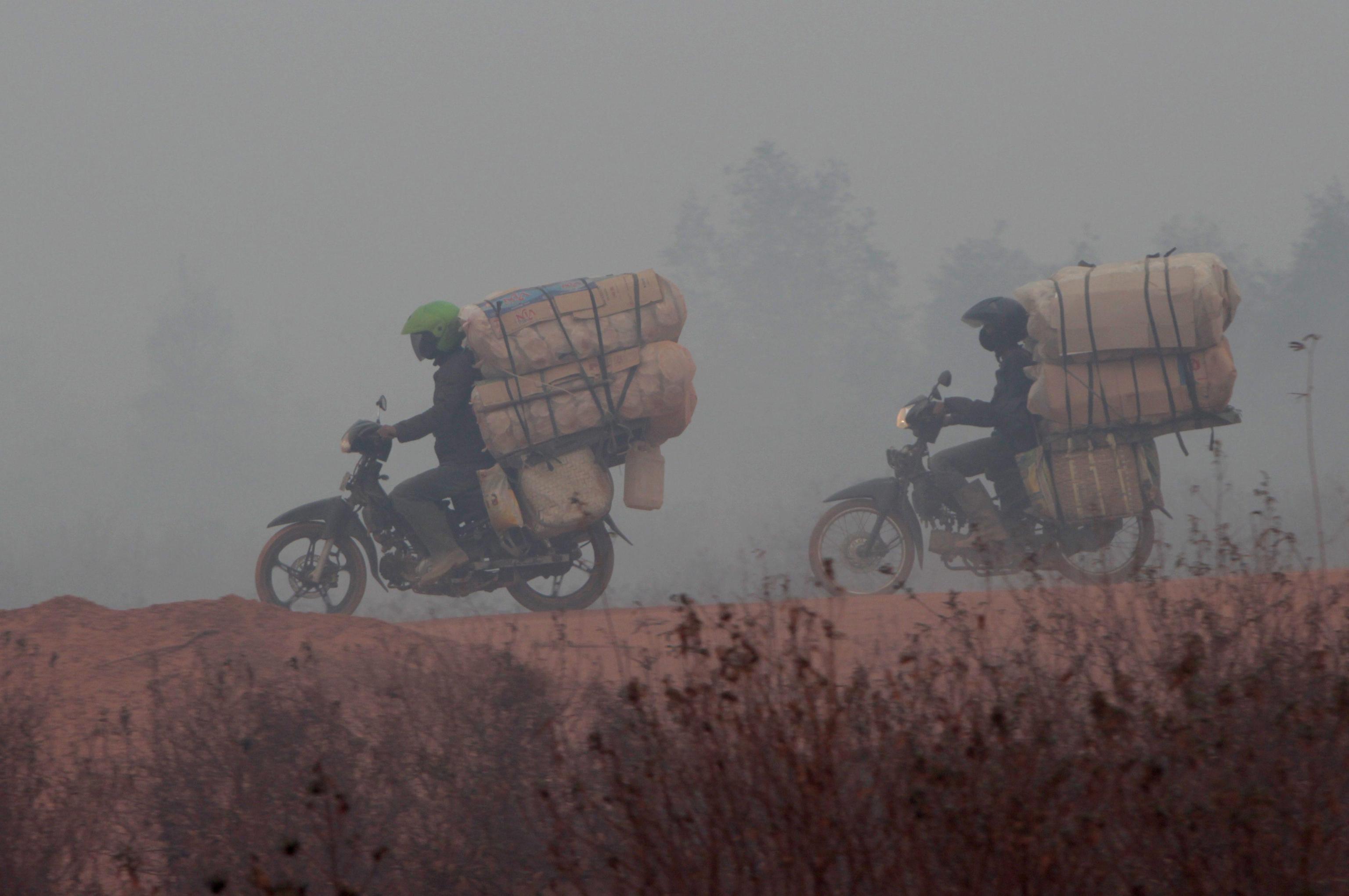 Roghi nelle foreste: emergenza ambientale in Indonesia