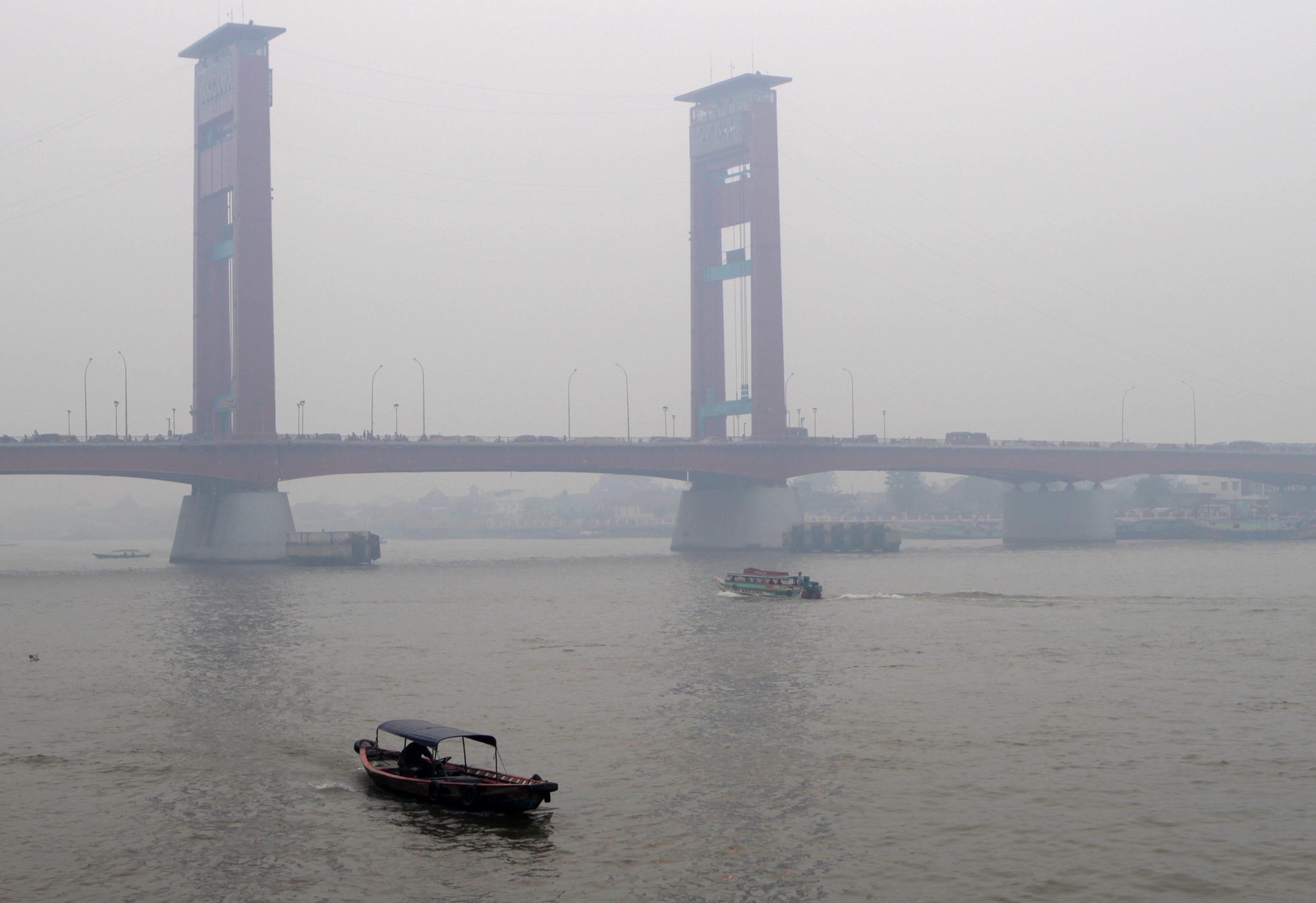 Roghi nelle foreste: emergenza ambientale in Indonesia