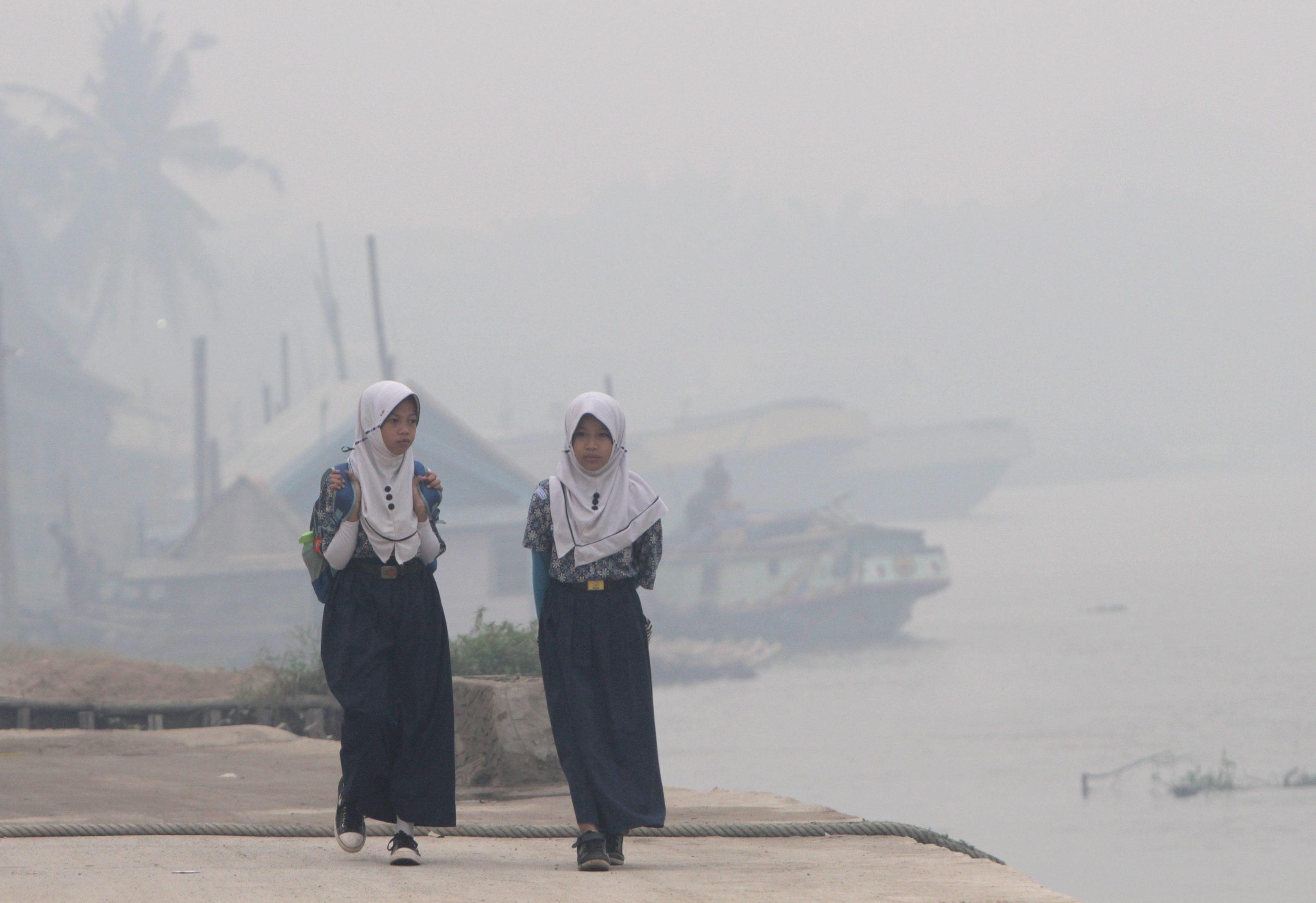 Roghi nelle foreste: emergenza ambientale in Indonesia