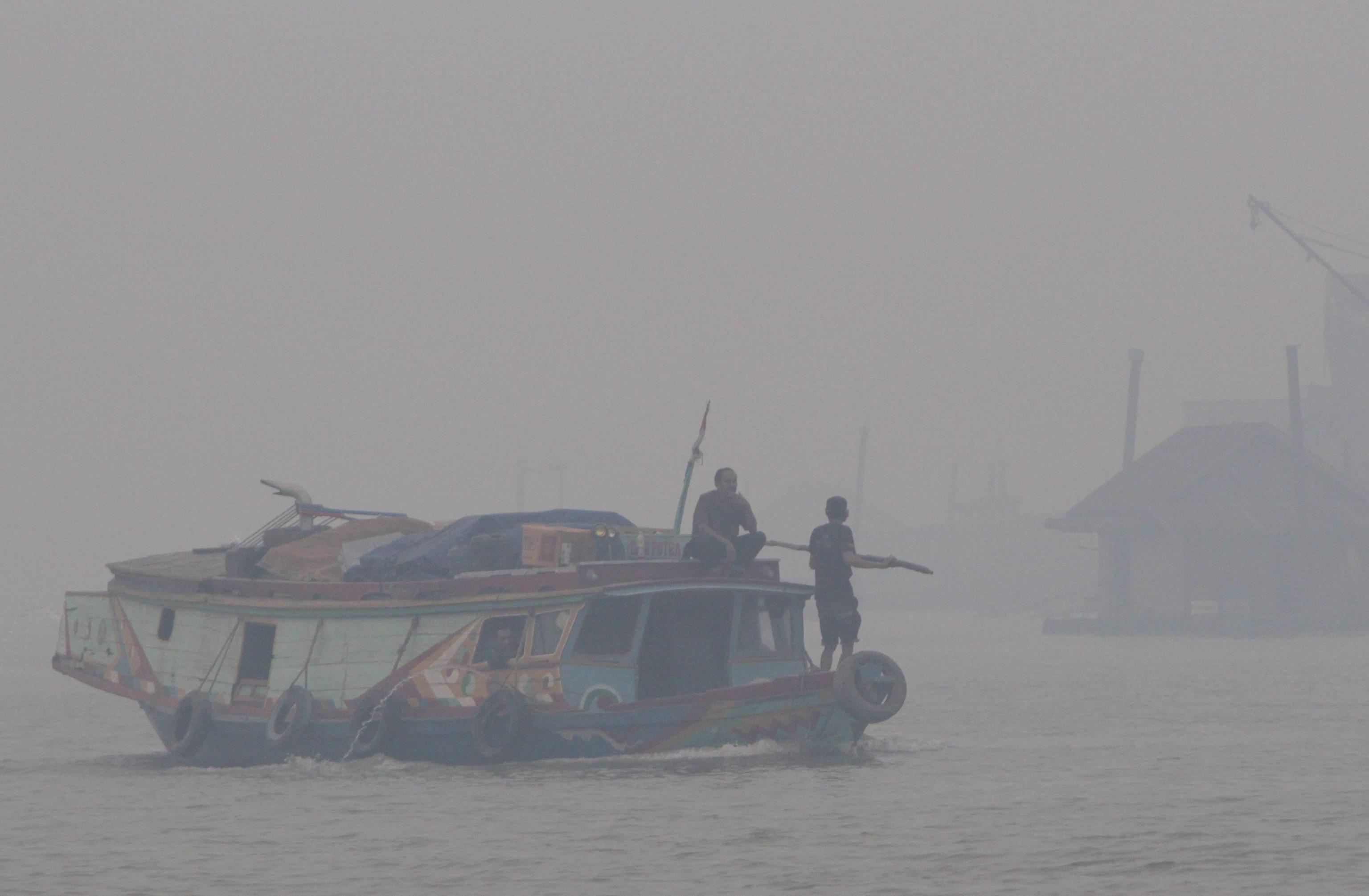 Roghi nelle foreste: emergenza ambientale in Indonesia