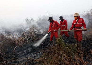 Roghi nelle foreste: emergenza ambientale in Indonesia