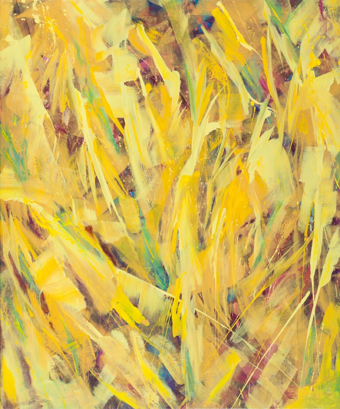 Affinità Elettive: Maria Pia Camporese e Carla Rigato Affinità Elettive: Maria Pia Camporese e Carla Rigato