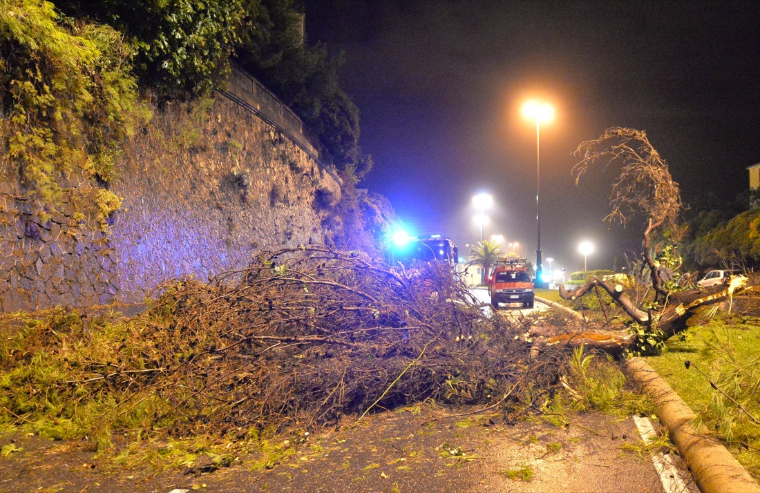 Alluvione nel Piacentino: il bilancio sale a due morti – Foto Alluvione nel Piacentino: il bilancio sale a due morti – Foto