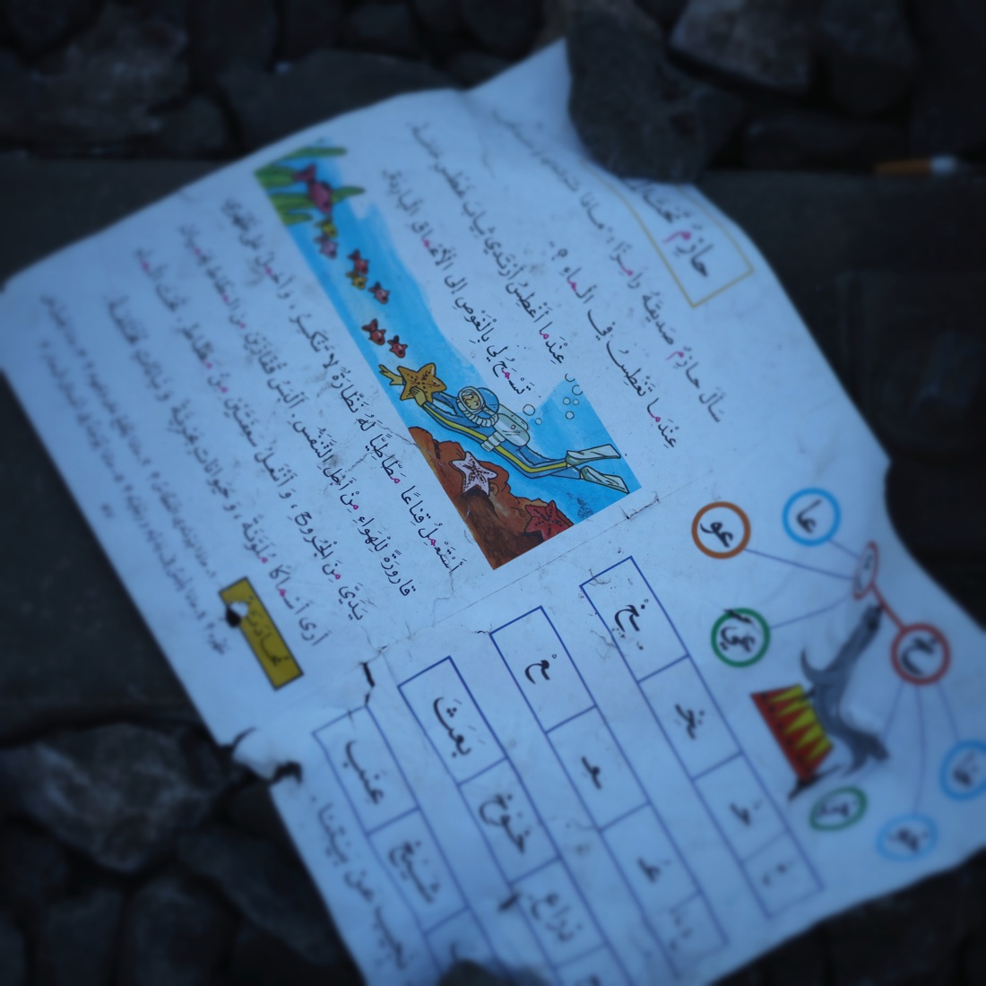 Storie di migranti in 25 foto