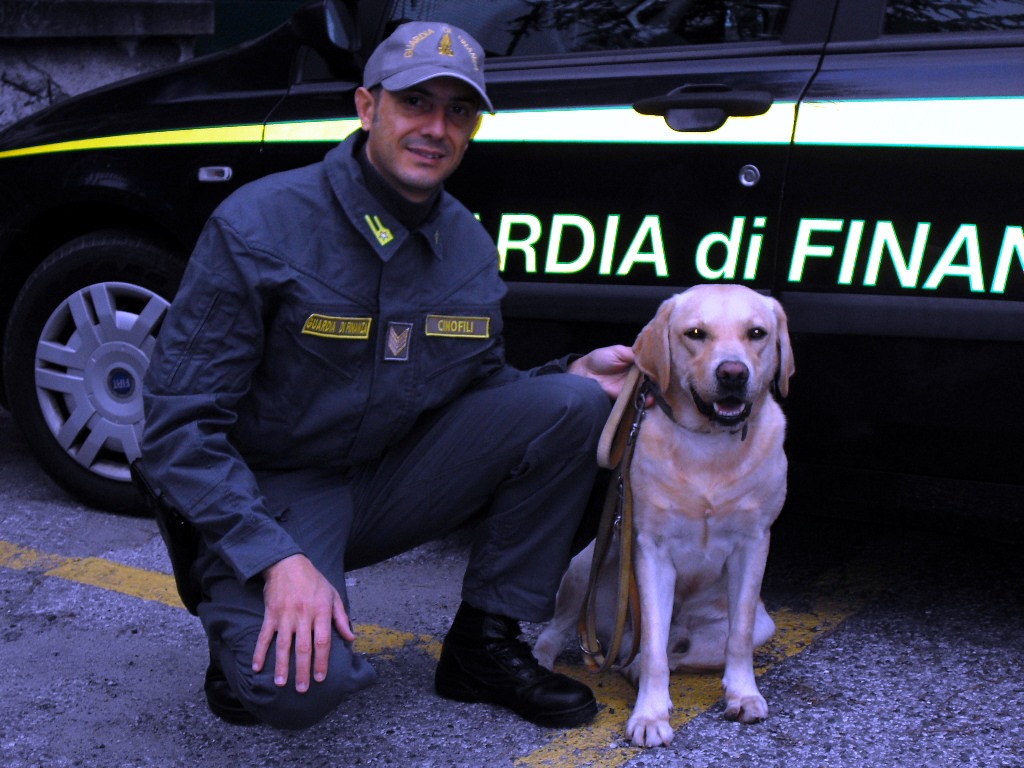Droga, tabacco, denaro, esplosivi: ecco i cani delle forze dell’ordine