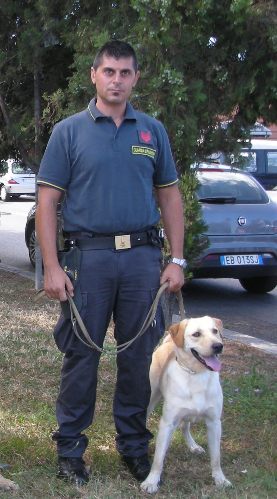 Droga, tabacco, denaro, esplosivi: ecco i cani delle forze dell’ordine